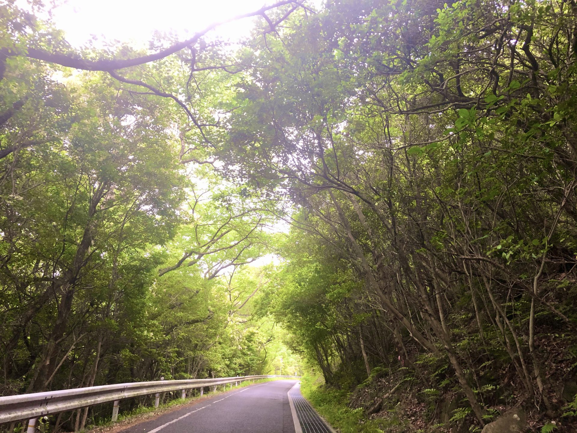 栗林公園から車で5分の絶景カフェ 栗林山荘のお香でマスク生活が快適に 香川県うっとり暮らし
